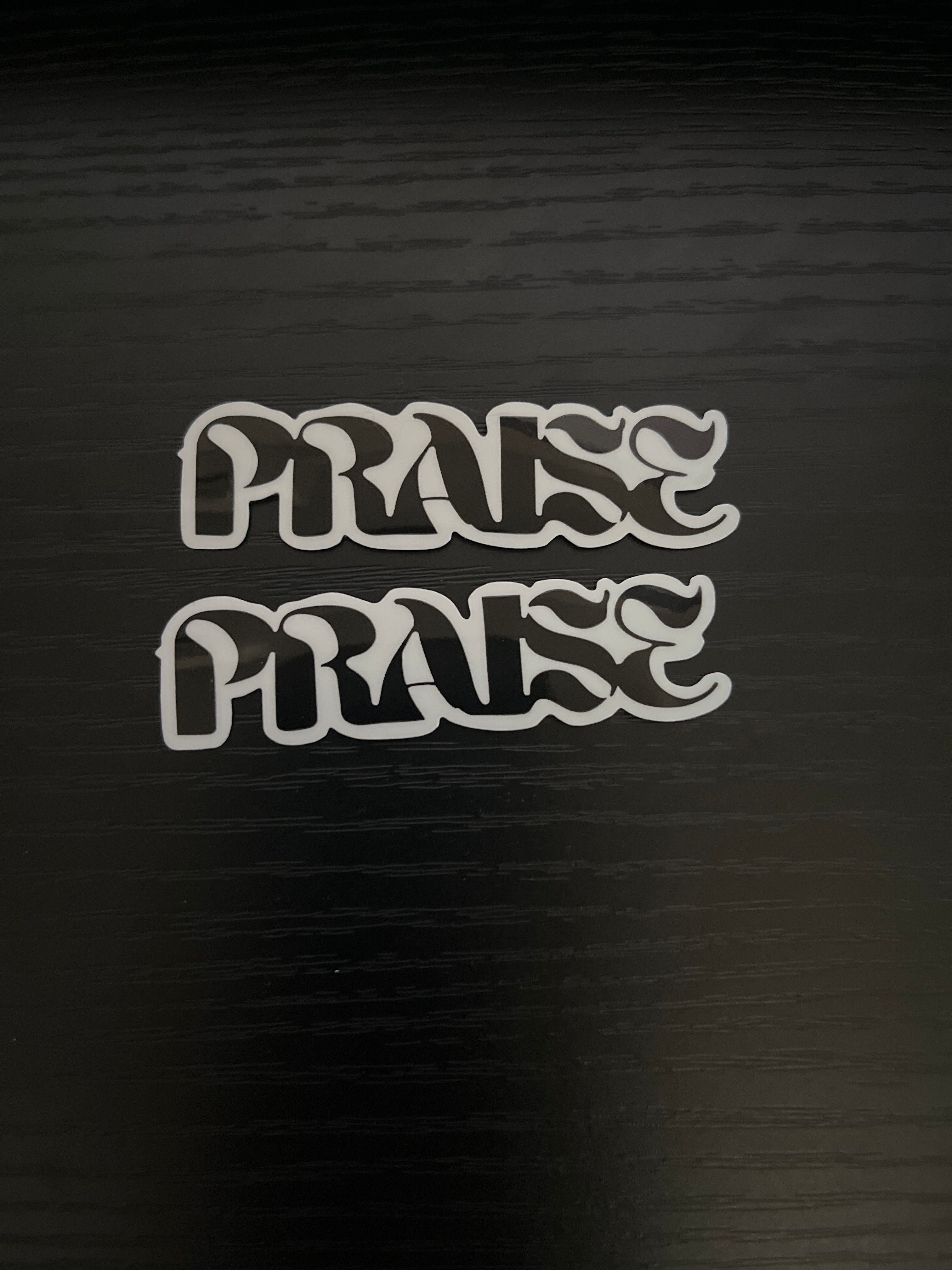 Praise Sticker (2 pack)